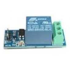 Module 1 Relay